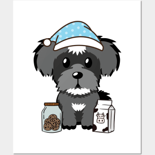 Funny schnauzer is having a midnight snack Posters and Art